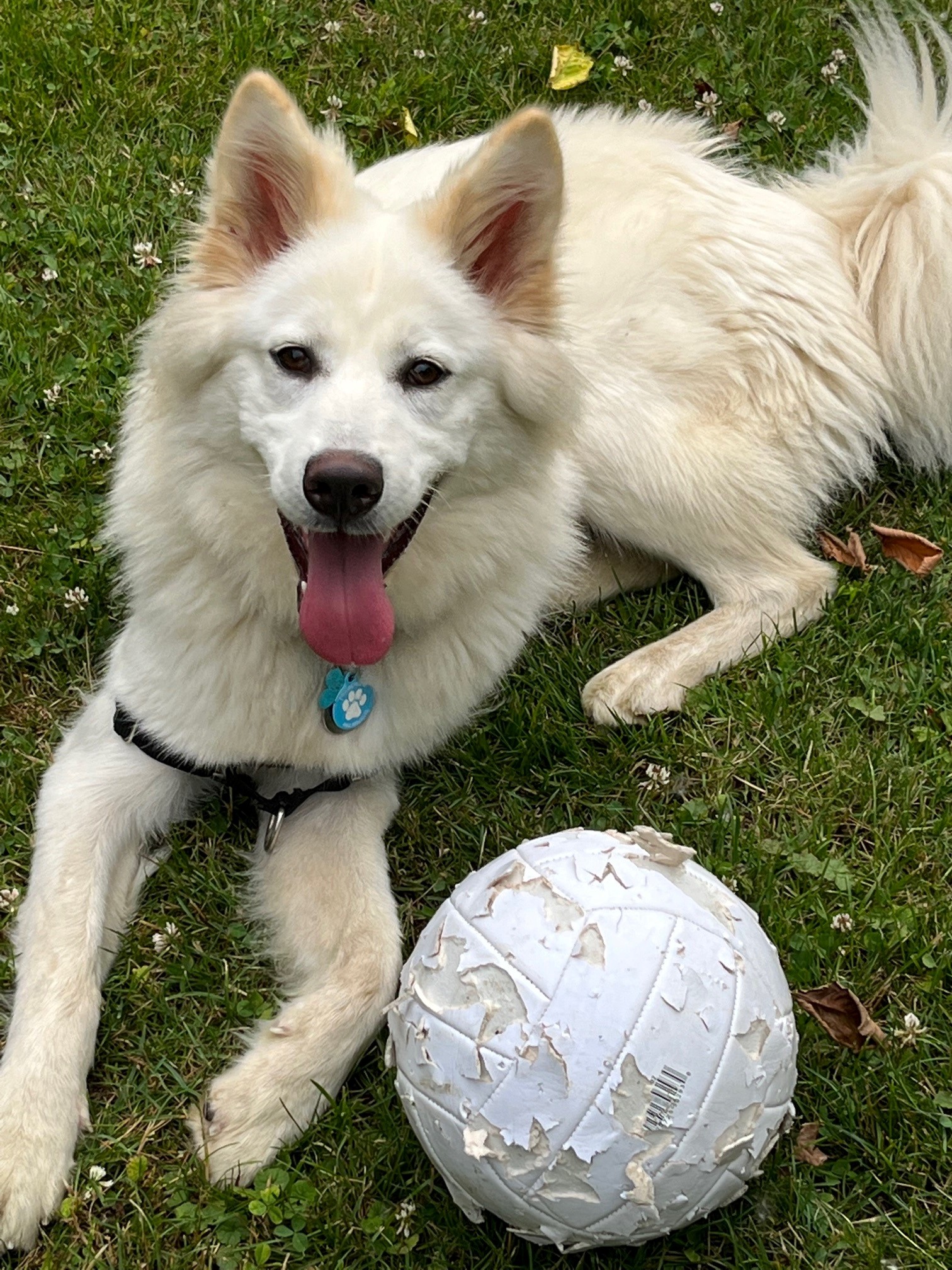 Poppy and her soccer ball 2023